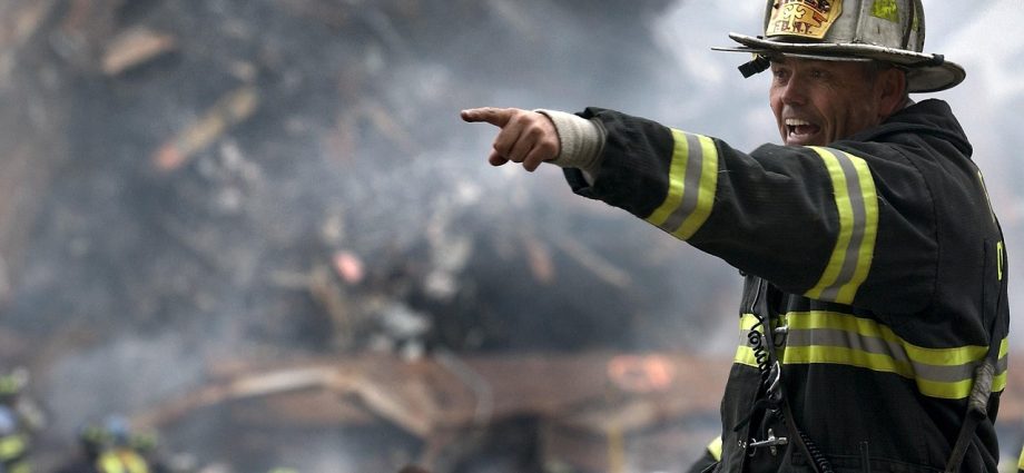 Dinas Damkar Lingga Hapus Sarang Tawon di Jembatan